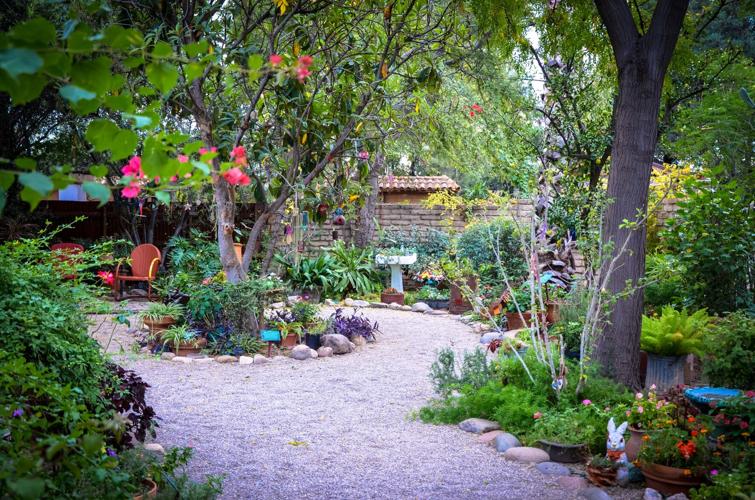 Tucson Botanical Gardens