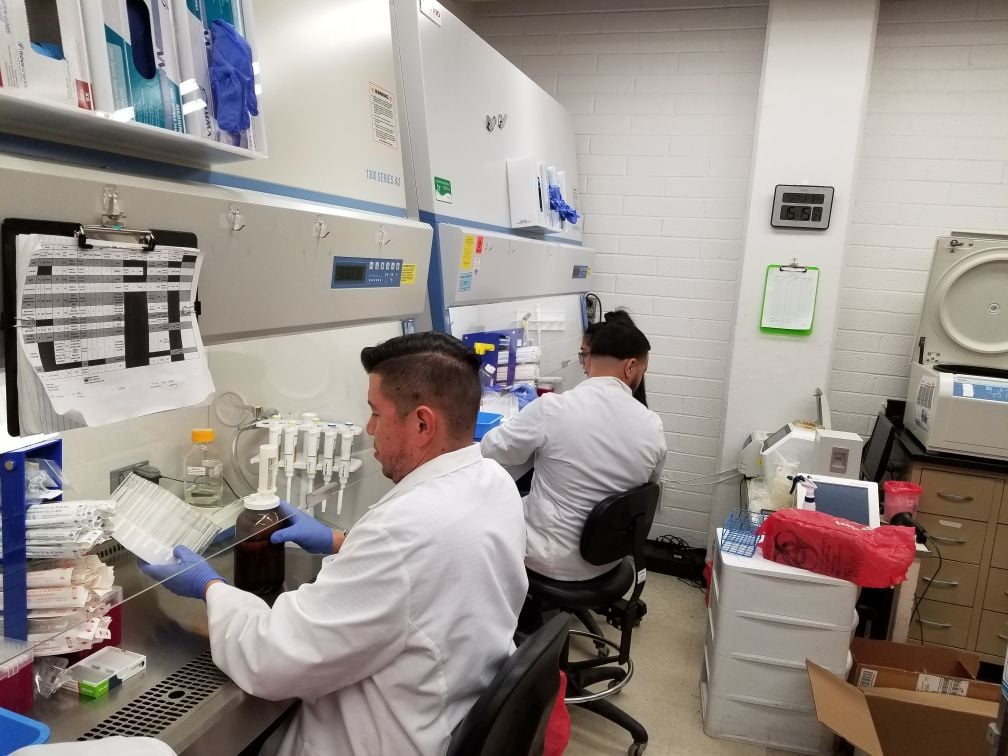 UA researchers work on COVID-19 test kits (LE)