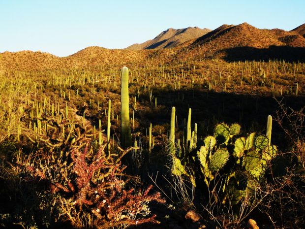 National Park Travel Photo Contest entries