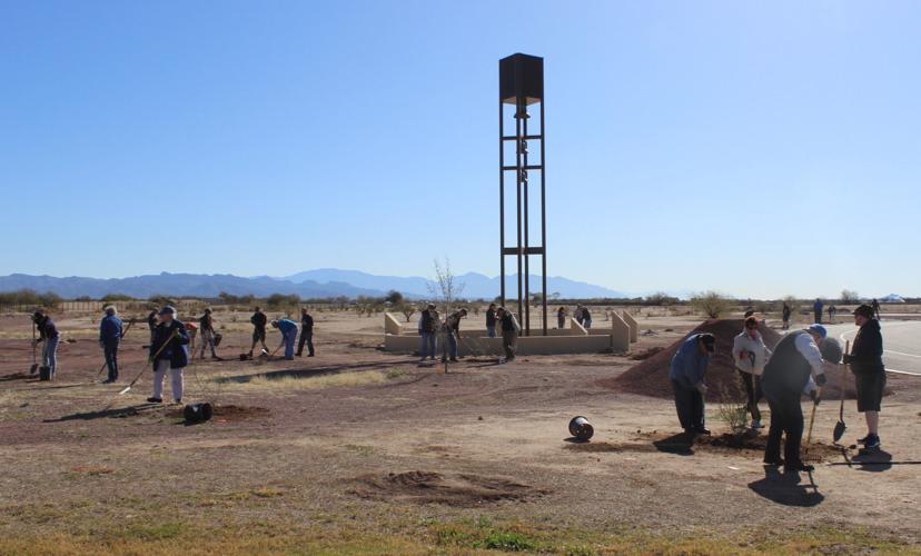 Tree plantings at Marana veterans cemtery