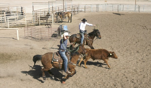 Fiesta de los Vaqueros: Before you go to rodeo, get to know it    