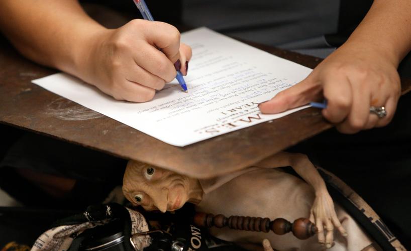 Happee Birthdae Harry Potter