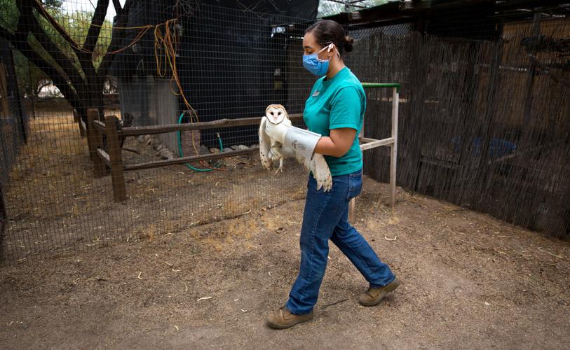 Tucson Wildlife Center