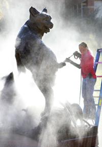 Vandals spray paint UA wildcat statue