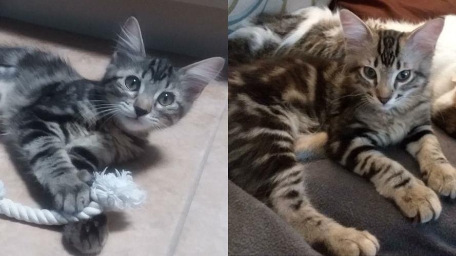 Adopt a friend: Freya and Elijah