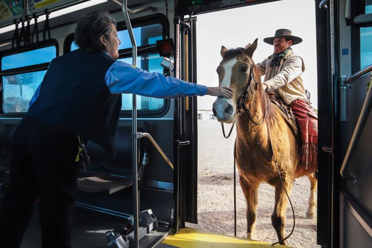 Tucson Rodeo Parade, horse training, 2023