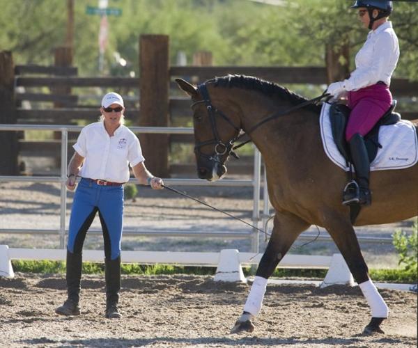 Dressage's disciplines   