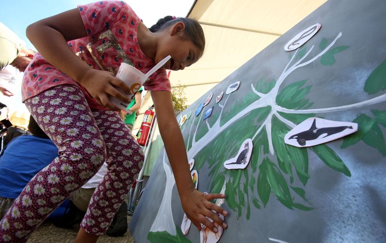 2017 Tucson Festival of Books