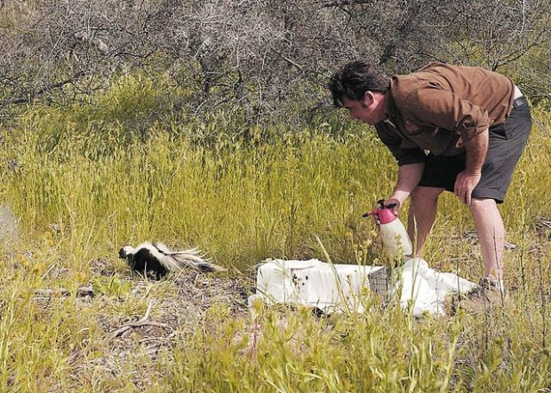 Feeding wildlife too risky  