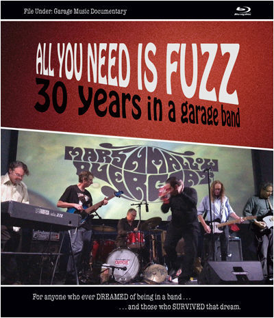 'All You Need is Fuzz'