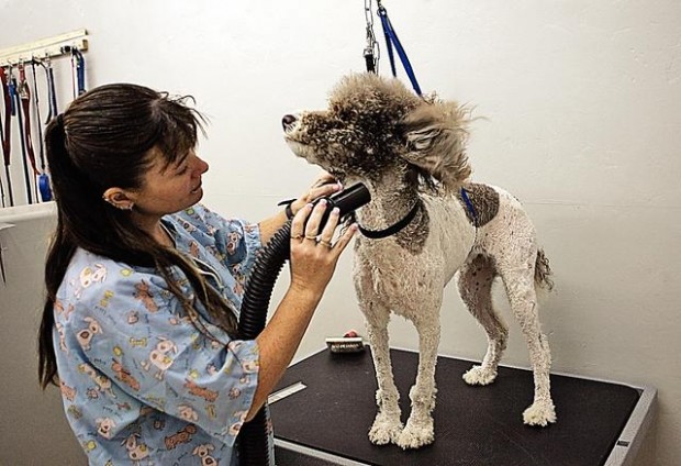 East Broadway strip mall seeks identity, prosperity  