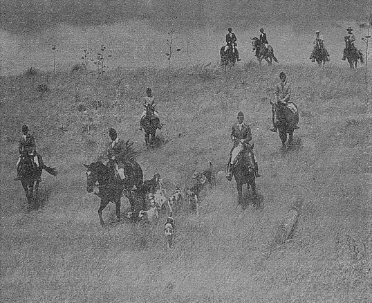 A traditional fox hunt, Sonoita style   
