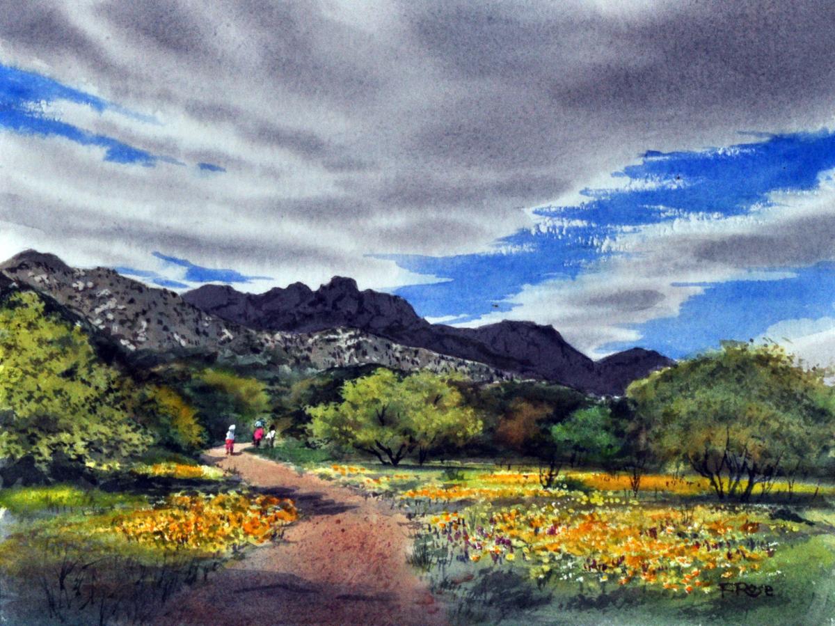 New Guidebook To The Catalina Mountains Features Watercolor