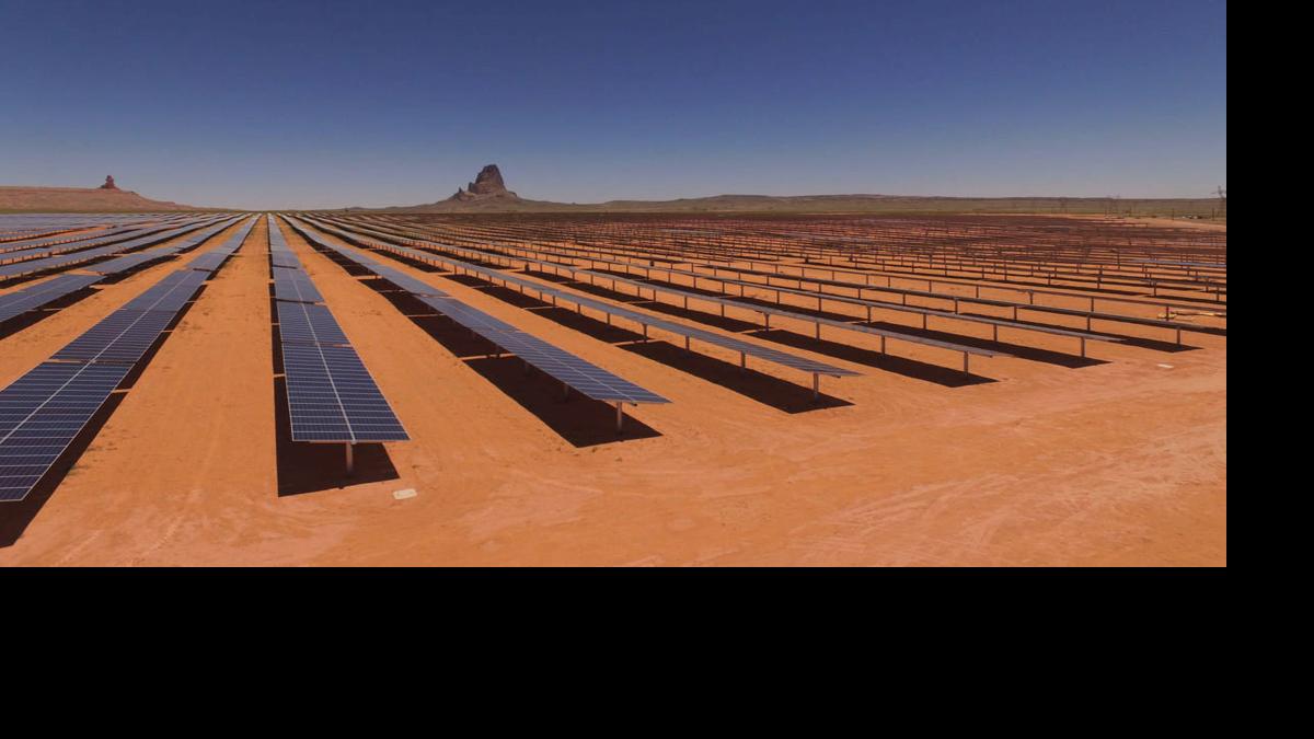 Under solar panels, desert restoration gets a leg up