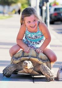 Tucson ex-con, former junkie had hit bottom, then Tank the tortoise showed him the way up  