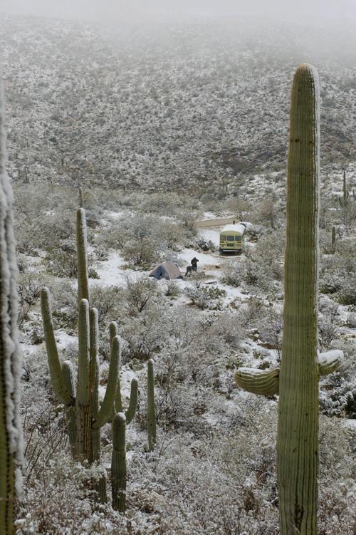 Snow in Tucson 2002