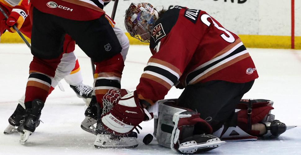 Roadrunners vs Calgary, AHL hockey (copy)