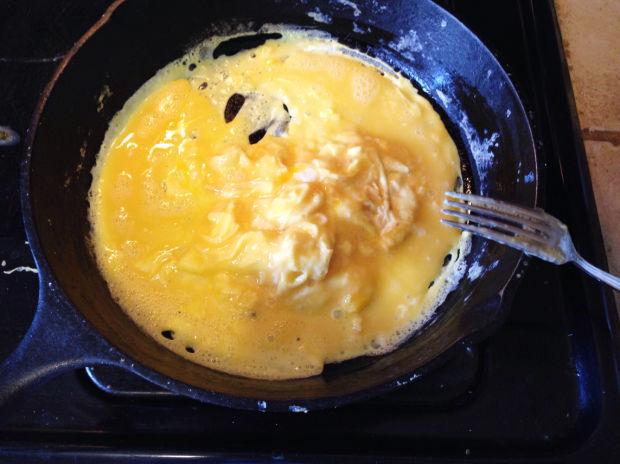 The Big Egg Throwdown: Factory vs. organic experiment