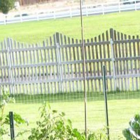 Using Straw Bales For Gardening Tucson Com