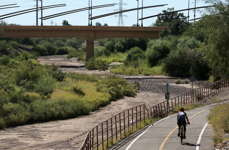 Santa Cruz River overgrowth