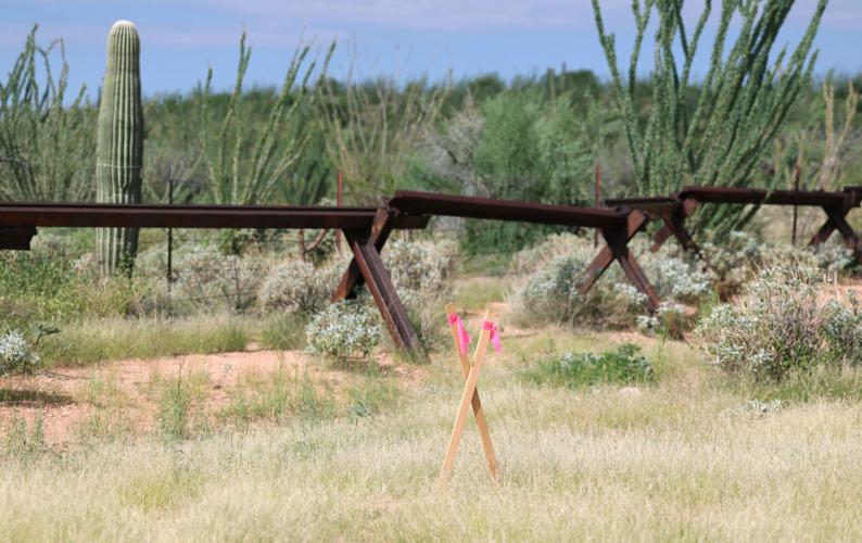 Tohono O'odham fight saguaro removal along border