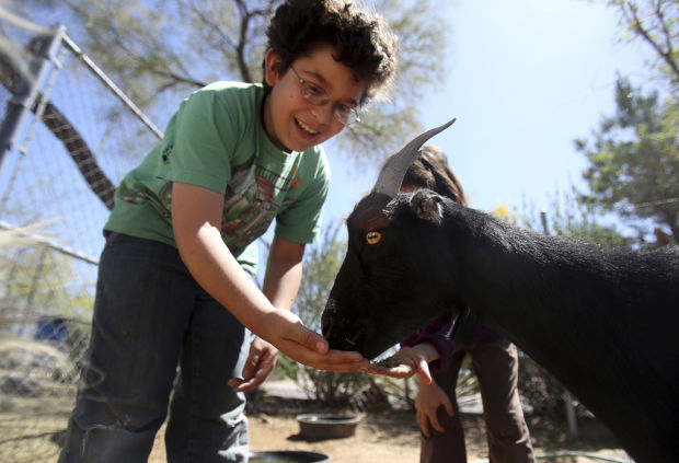 Education takes free form at Highland Free School    