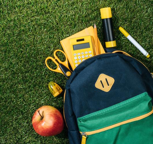 School backpacks