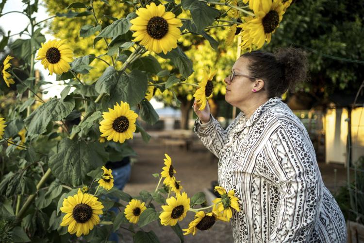 Arizona's Agritopia: A bit of farm and suburbia