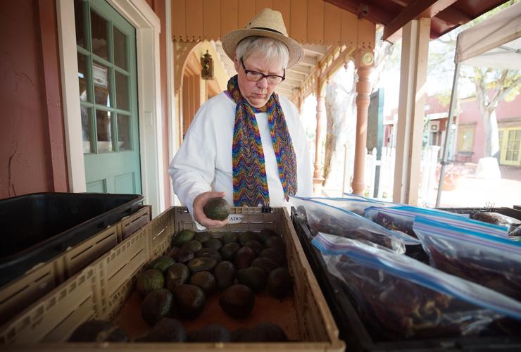 Robin B. Mather-p2.jpg