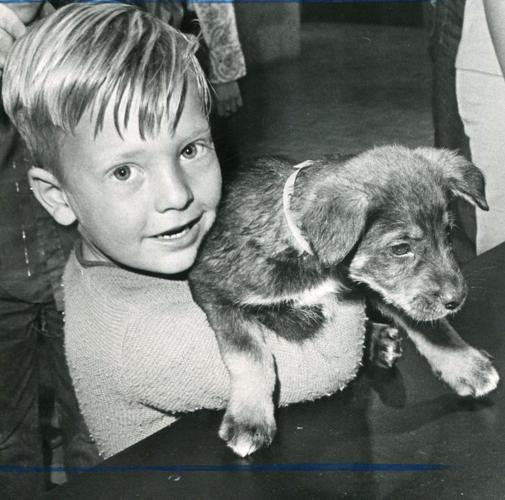A lad and his dog (1973)
