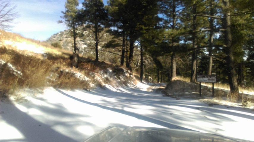 Snow on Mount Lemmon
