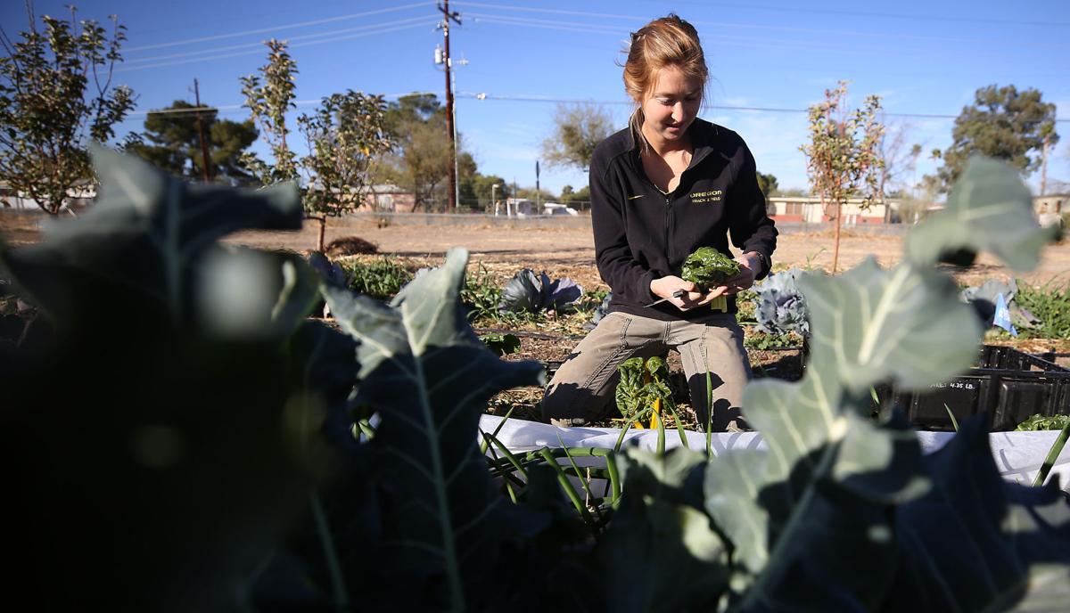 Neto S Tucson Las Milpitas Farm Gives Community A Way To Share