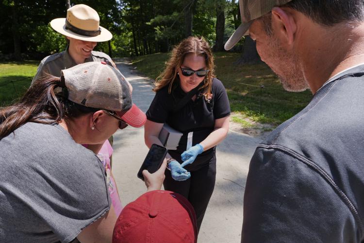 Revolutionary War Musket Balls