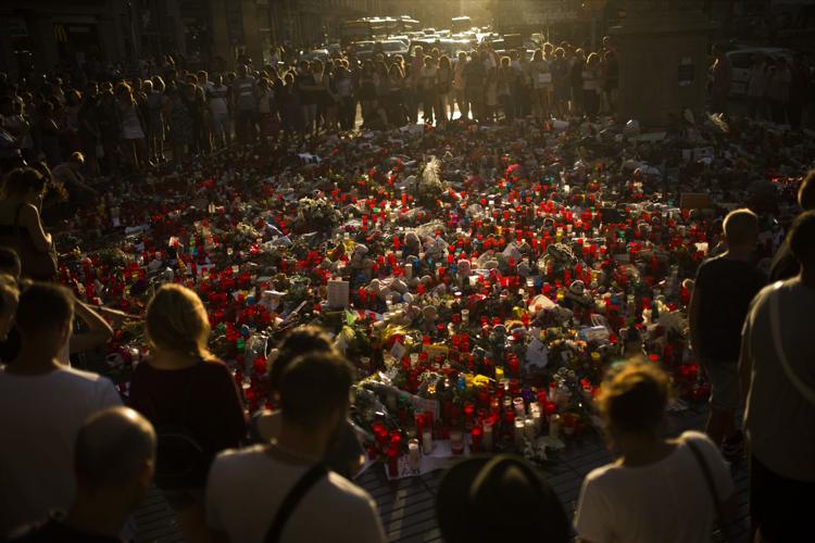 Pictures Of The Week Photo Gallery