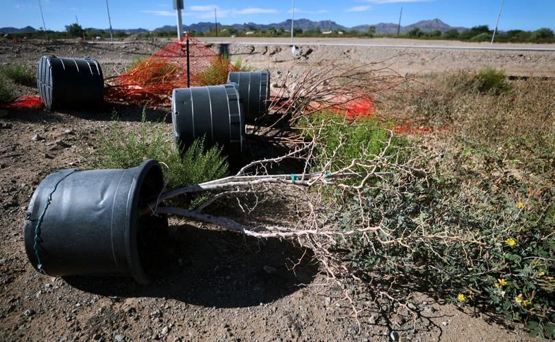 Christopher Columbus Park