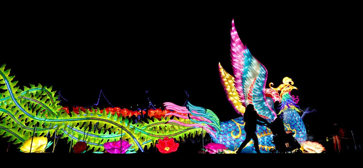 Photos Asian Lantern Festival at Reid Park Zoo