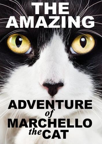 The Amazing Adventure of Marchello the Cat