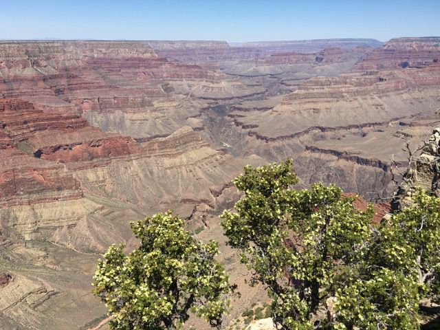 Grand Canyon