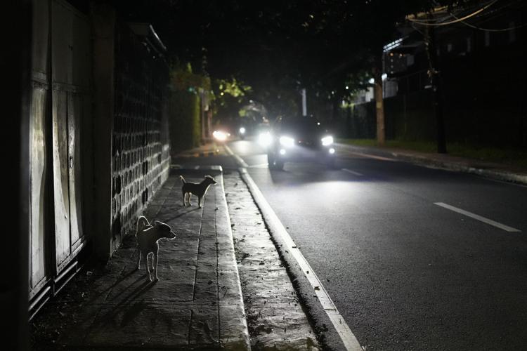 Spooky Season Stories