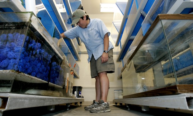 The Arizona-Sonora Desert Museum at 60 years old
