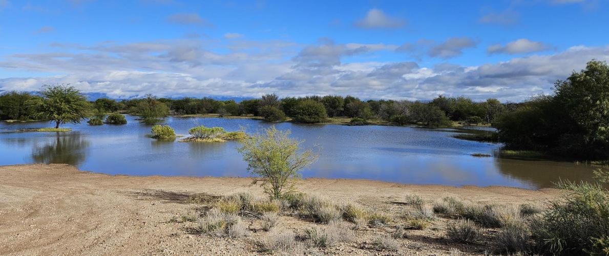 Only 3% of Arizona's rain, snow ends up in our groundwater supply