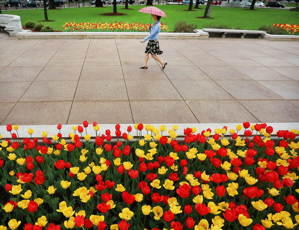 Mays Flowers.jpg