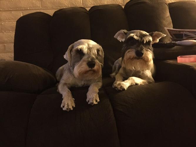 Happy National Dog Day!