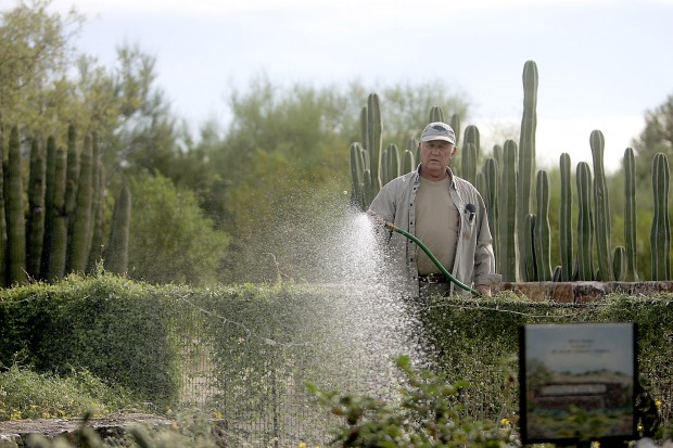 Want spring blooms? Now is time to plant seeds   