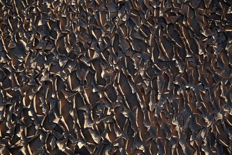 Lake Mead Water Level