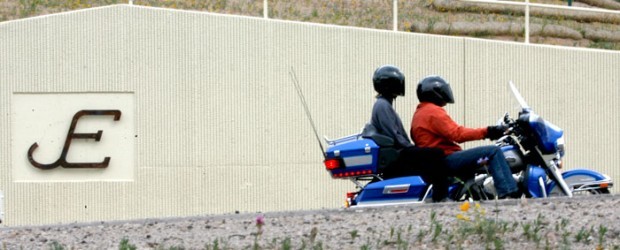 Tucson Oddity: Livestock brands