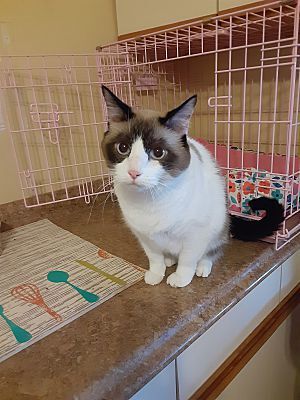 Adopt a friend: Micca