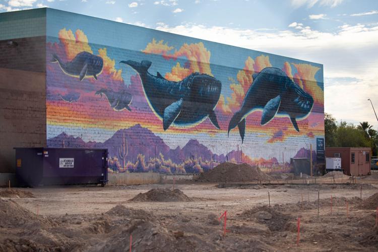 100125-tuc-metro-steller-p3