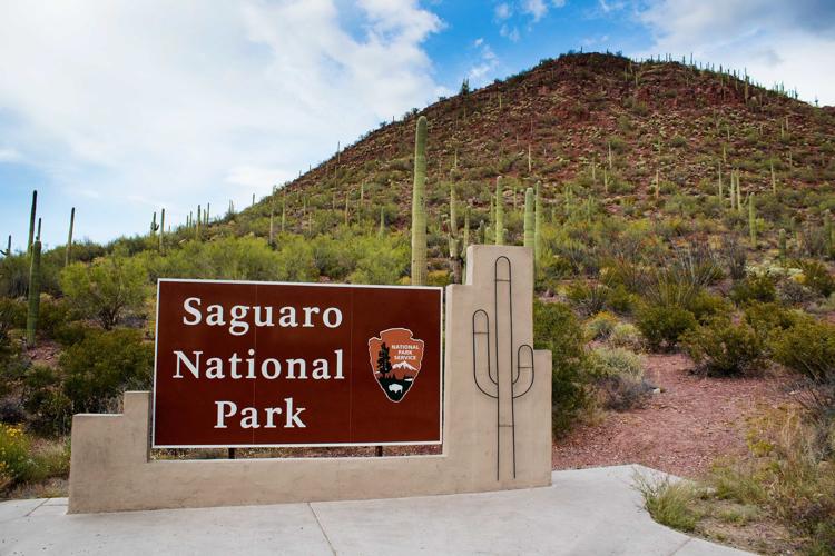 Saguaro National Park sign