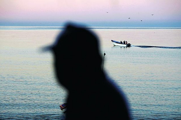 Giant squid, giant opportunity  